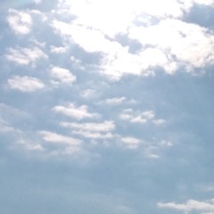 user-img